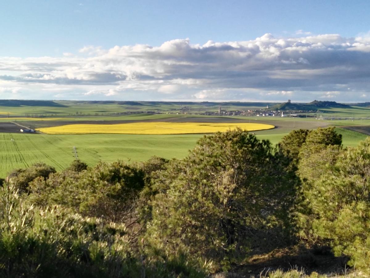 Mota del Marqués La Aldea Colorada Casa Rural المظهر الخارجي الصورة