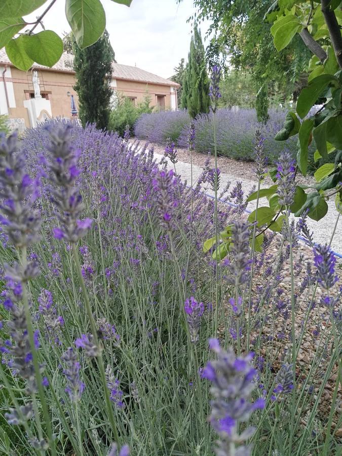 Mota del Marqués La Aldea Colorada Casa Rural المظهر الخارجي الصورة